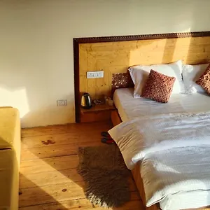 Tree Nest Resort Shimla